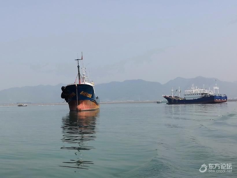 奉化海鲜自助餐有没有帝王蟹,奉化海鲜餐推荐