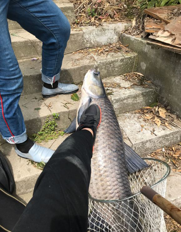 钓鱼要持之以恒,钓鱼要有耐心才有收获