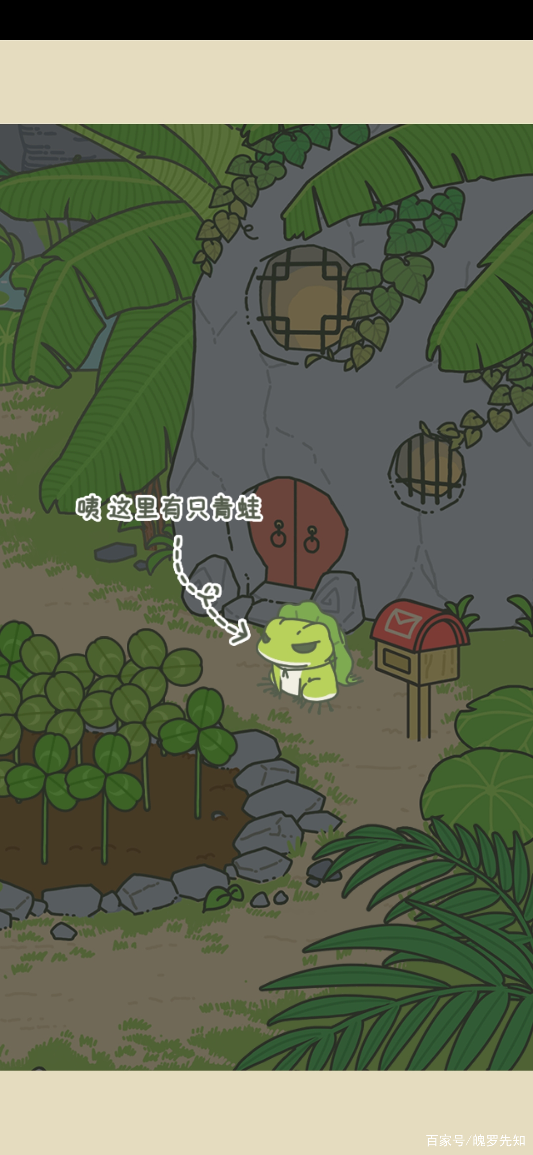 知道吗，你曾经养在手机里的蛙崽儿终于要回来啦