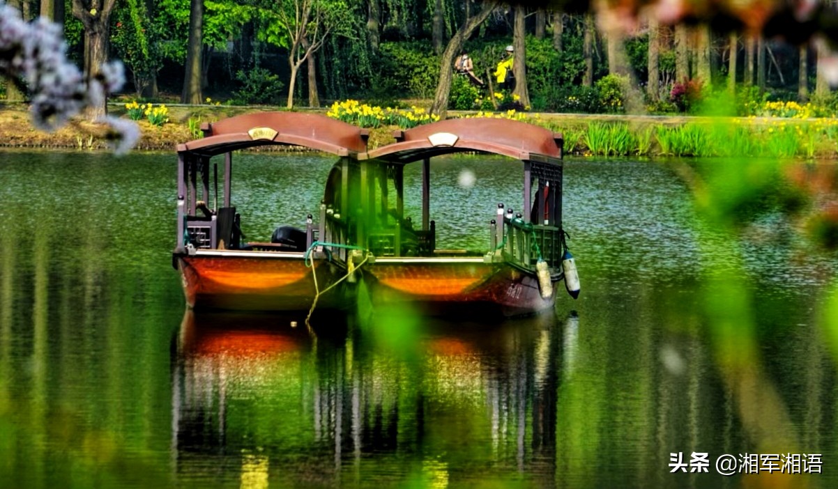 杏花古镇旅游景点,江南杏花景点