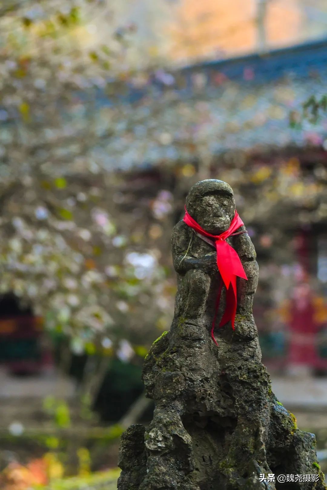 留坝秦岭之夜,留坝秦岭森林公园