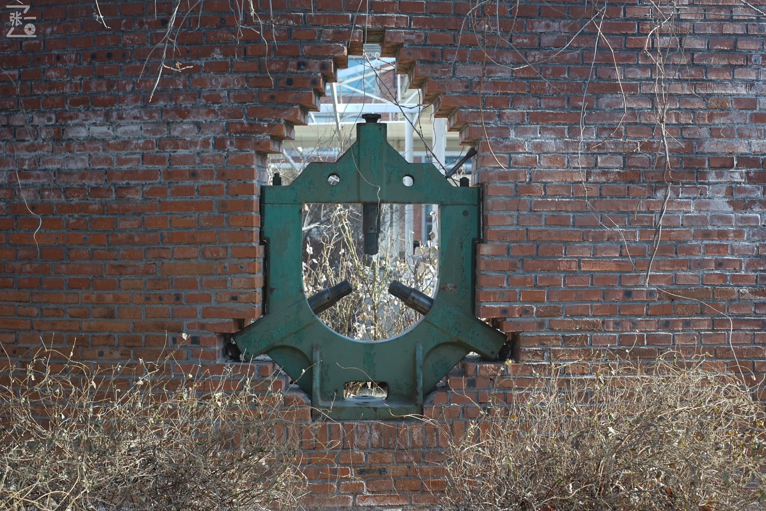 日本进口雅西卡胶卷相机,雅西卡135相机