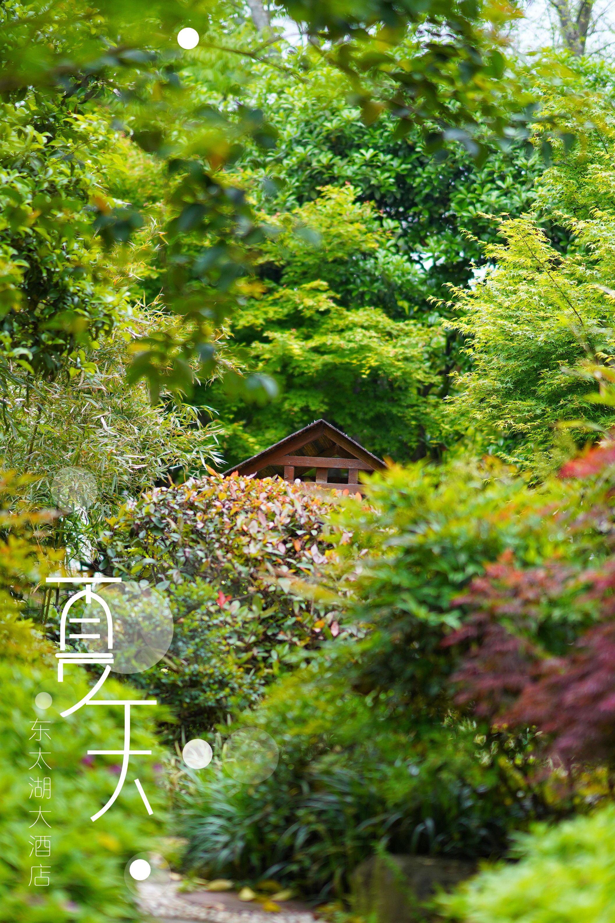 苏州特色民宿推荐,苏州最有特色民宿推荐