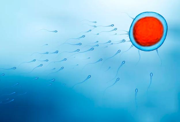 鑻卞浗濂冲瓙缃戜笂璐拱閽堢瓛,閽堢瓛浜哄伐鎺堢簿