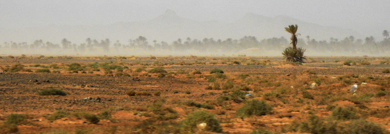 撒哈拉沙尘暴照片,撒哈拉沙漠沙尘暴实拍