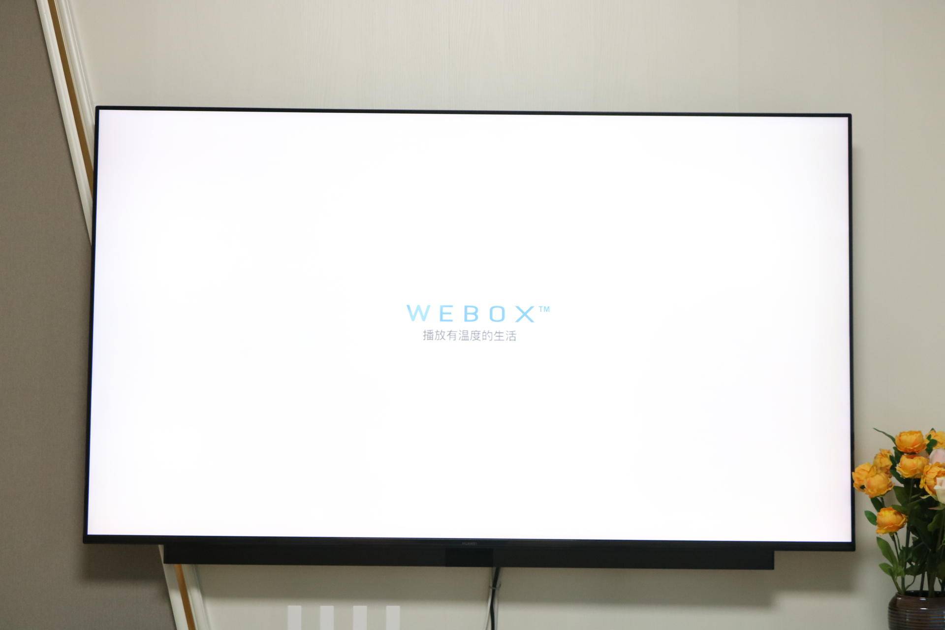 泰捷we30s盒子刷机教学,泰捷we30s视频播放器