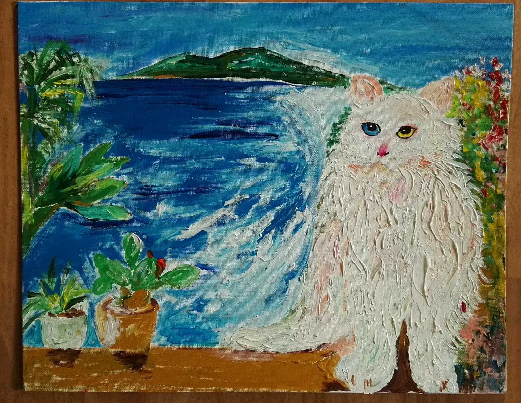 狮子猫小猫咪,狮子猫橘色宠物