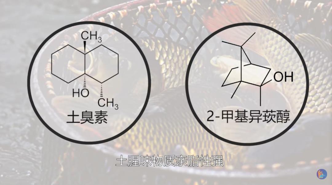 吃鱼有腥味如何去除,吃鱼有腥味怎么去