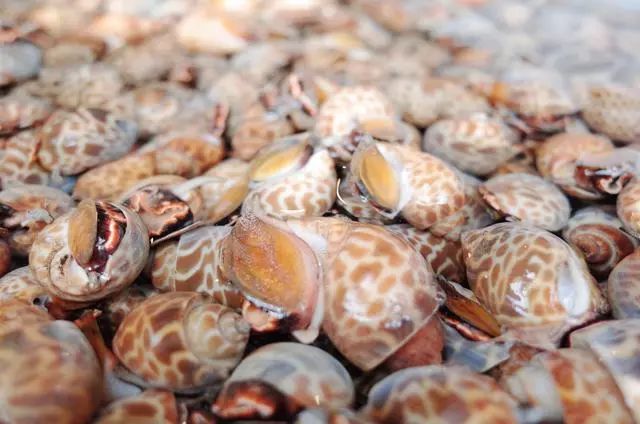 普吉岛值得吃的美食,普吉岛美食推荐最新