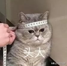 借用他人车但不知是假牌,车辆借给他人使用被查非法行为