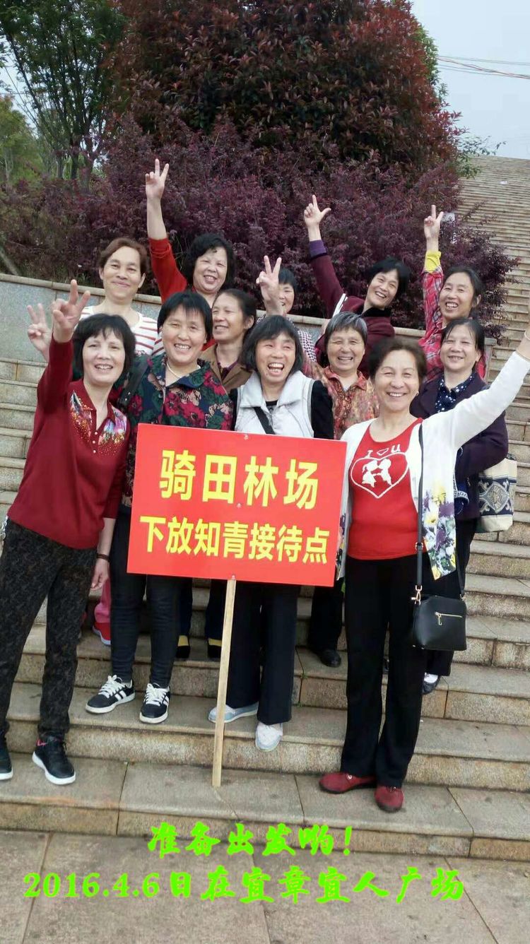 难以释怀的知青情结,60年代的知青情结