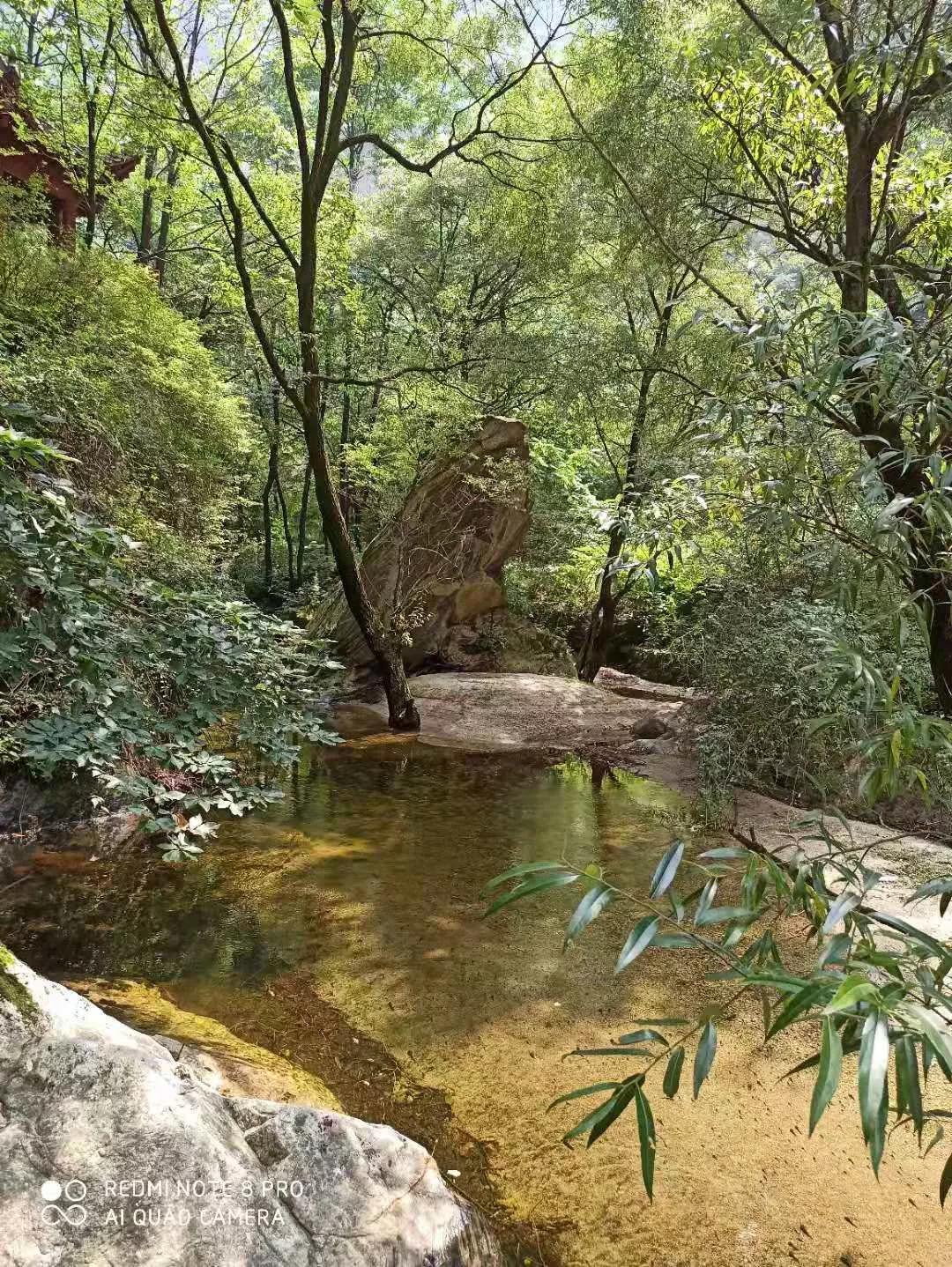 少华山森林公园门票免费吗,少华山森林公园徒步好去处