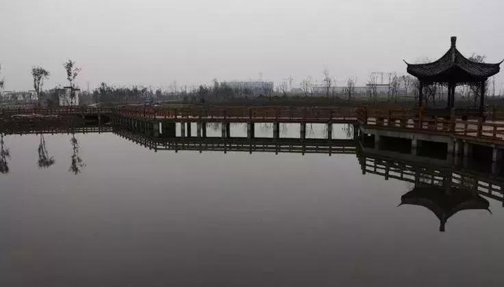 新站未来的潜力板块在哪里,新站发展最新消息