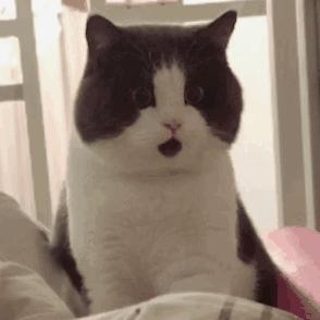 出境游千万别带这些小心被遣返,出国旅行带多少行李不会被遣返