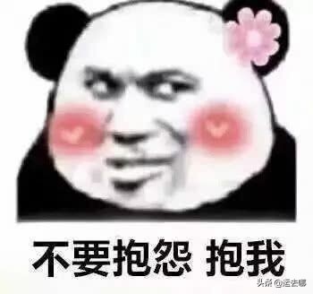 货代都做哪些工作,货代从事的工作有哪些