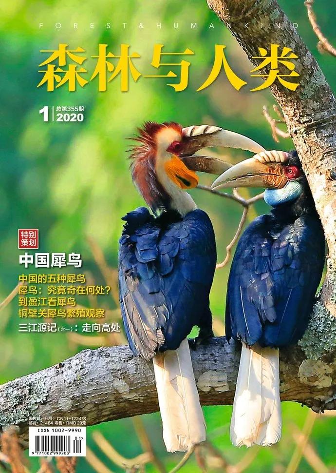 2022年一级保护野生动物有哪些,2025年我国野生保护动物