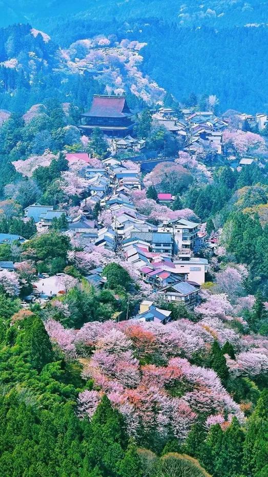 第1次去日本你有什么要注意的,第一次去日本必买东西