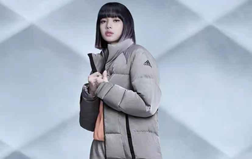 上万的加拿大鹅,一万块的加拿大鹅是真的吗