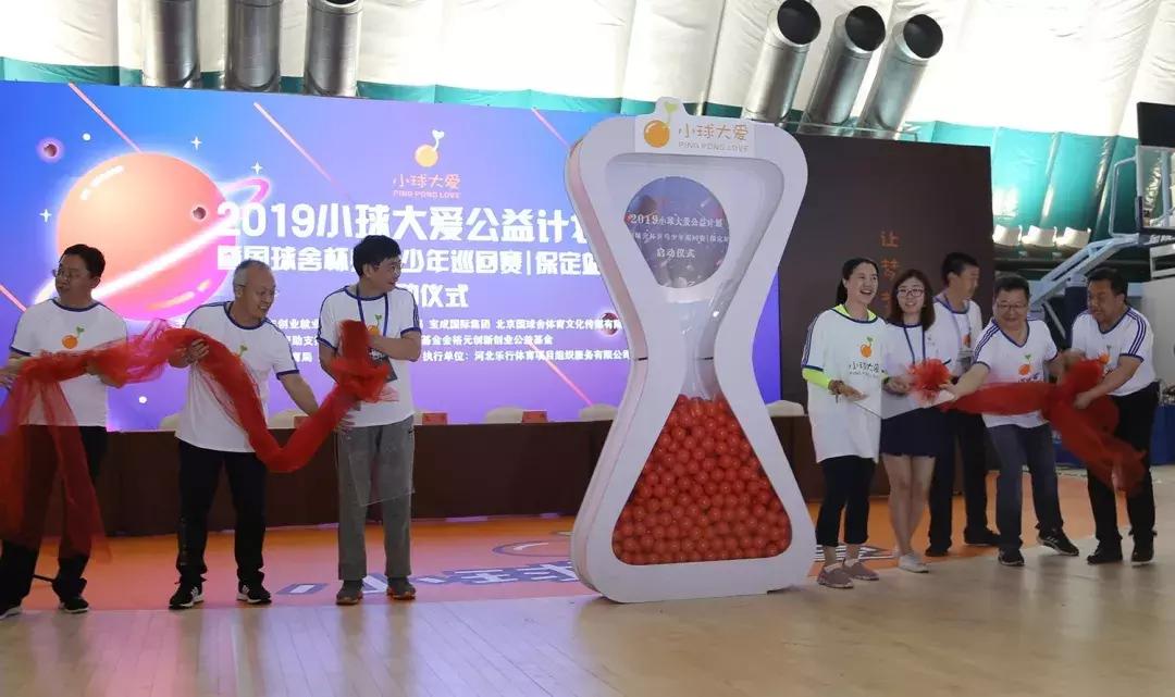 王楠小球大爱,王楠小球大爱公益