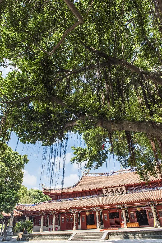 泉州话你真厉害,你真的太拼了英语