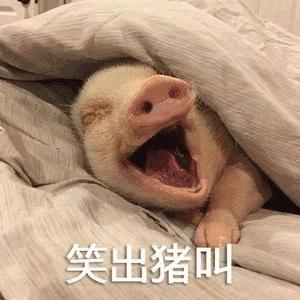 在云丘山「龙舟」被玩出了新花样，很多人都没玩过！