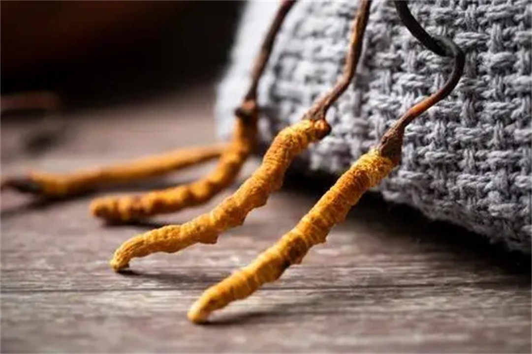 冬虫夏草最低价一包是多少,冬虫夏草的价格为啥上不去