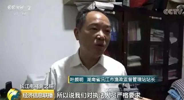 刑法规定的禁止使用捕鱼方法,非法捕鱼为什么屡禁不止