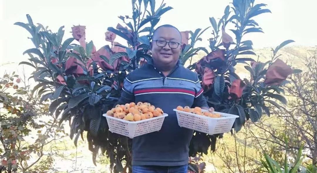 冬桃挑起农特“群英汇”，雾本丰收季电商很给力