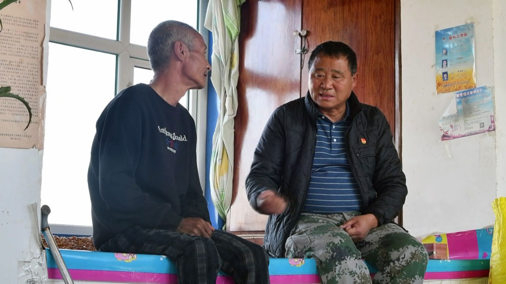 从村到镇广东乡村振兴开启新篇章,从暴风骤雨到山乡巨变