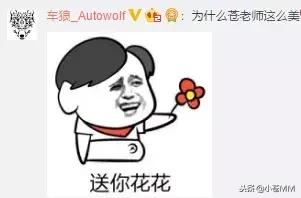 小苍的图片,小苍颜值巅峰照片