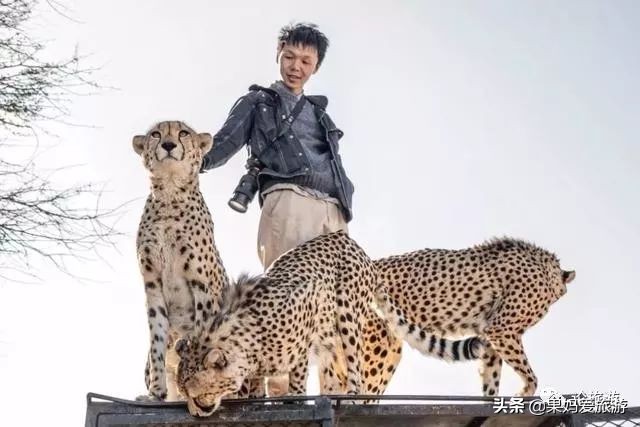 三个95后开五菱车,95后开着面包车环游世界