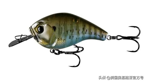 全国渔具展会2024时间表,全国渔具展2024