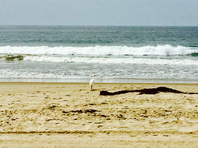 玩转洛杉矶ktown,洛杉矶环线攻略