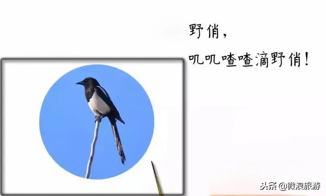 莒州话,莒县话听不懂