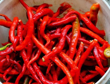 做豆瓣酱时,掌握3点小窍门,豆瓣酱色泽红润香味足,存放得久