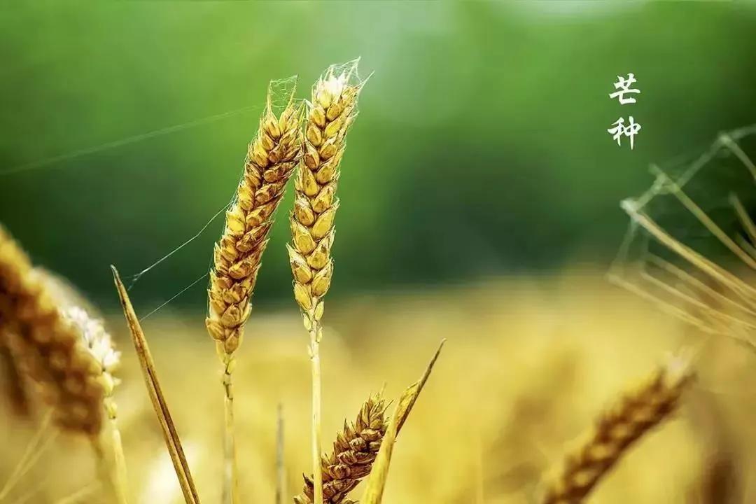 “百毒之月”，一年中最危险的日子