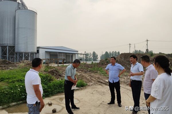 安徽阜阳市太和三塔镇,安徽阜阳市太和县三塔镇