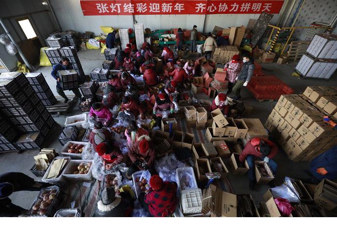 陕西拼多多农产品店,拼多多开店铺卖自己的农产品