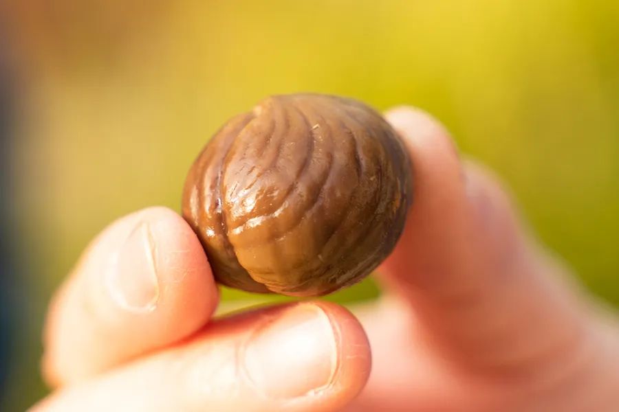 李佳琦零食直播间,李佳琦直播间零食