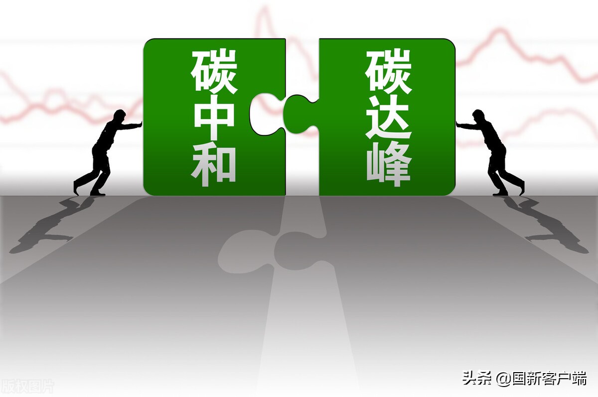 全国碳市场和地方碳交易所的关系,碳中和碳市场