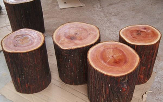 这种植物不但可以吃，车的珠子竟然可以和上等红木媲美