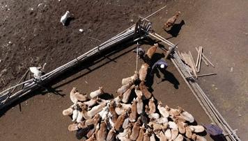 我也想瘦啊!可内蒙古的“食”力它不允许啊……