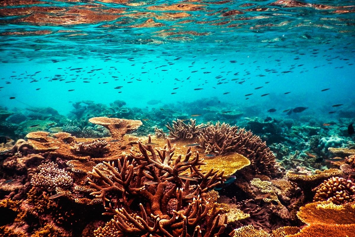 最小的国家马尔代夫,马尔代夫最小与最大的岛