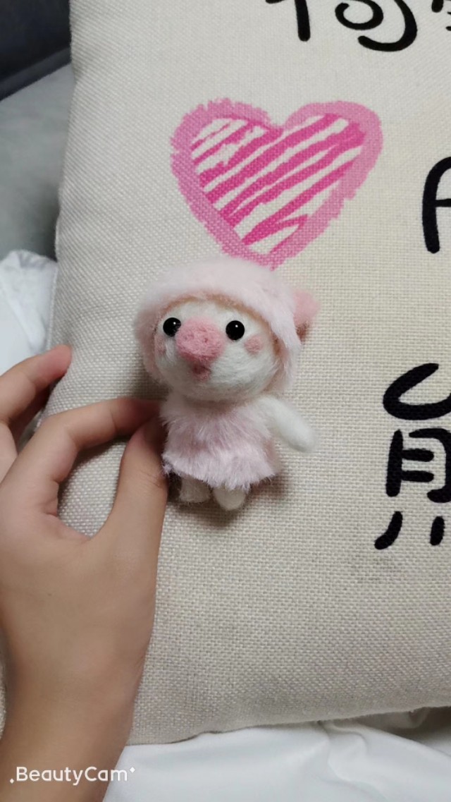 记录孕期生活,我的孕期记录22周