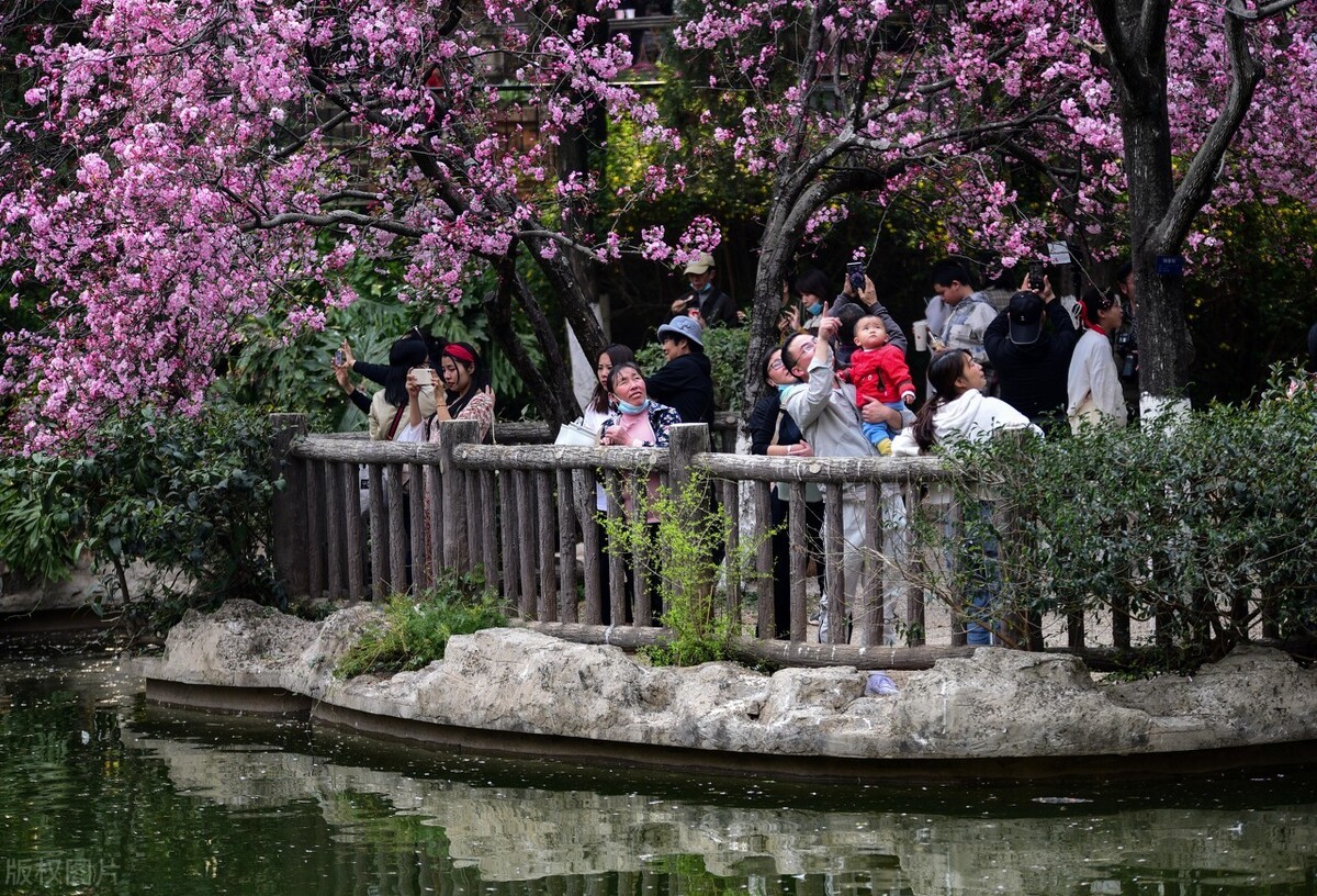 昆明市内游玩好去处 (云南昆明最值得玩的地方)
