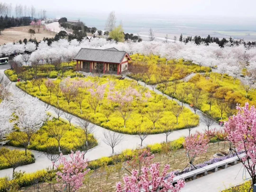 开封文化公园游玩攻略,开封森林公园有几处景点