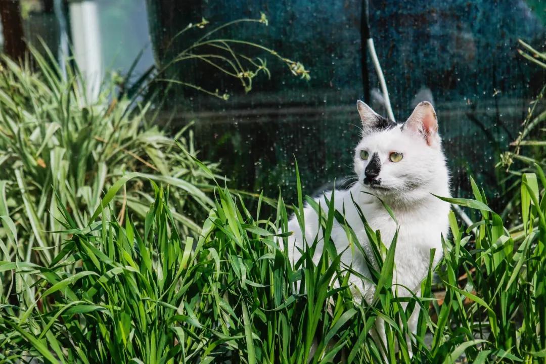 大家期盼的真实事件,掉缸事件怎么处理