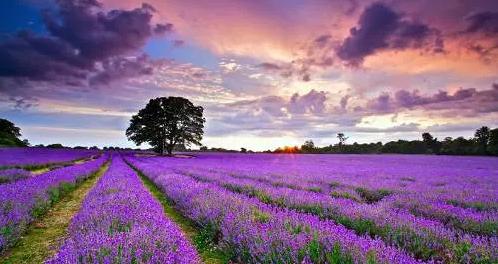 带你走进浪漫清远,感受不一样的历史情怀