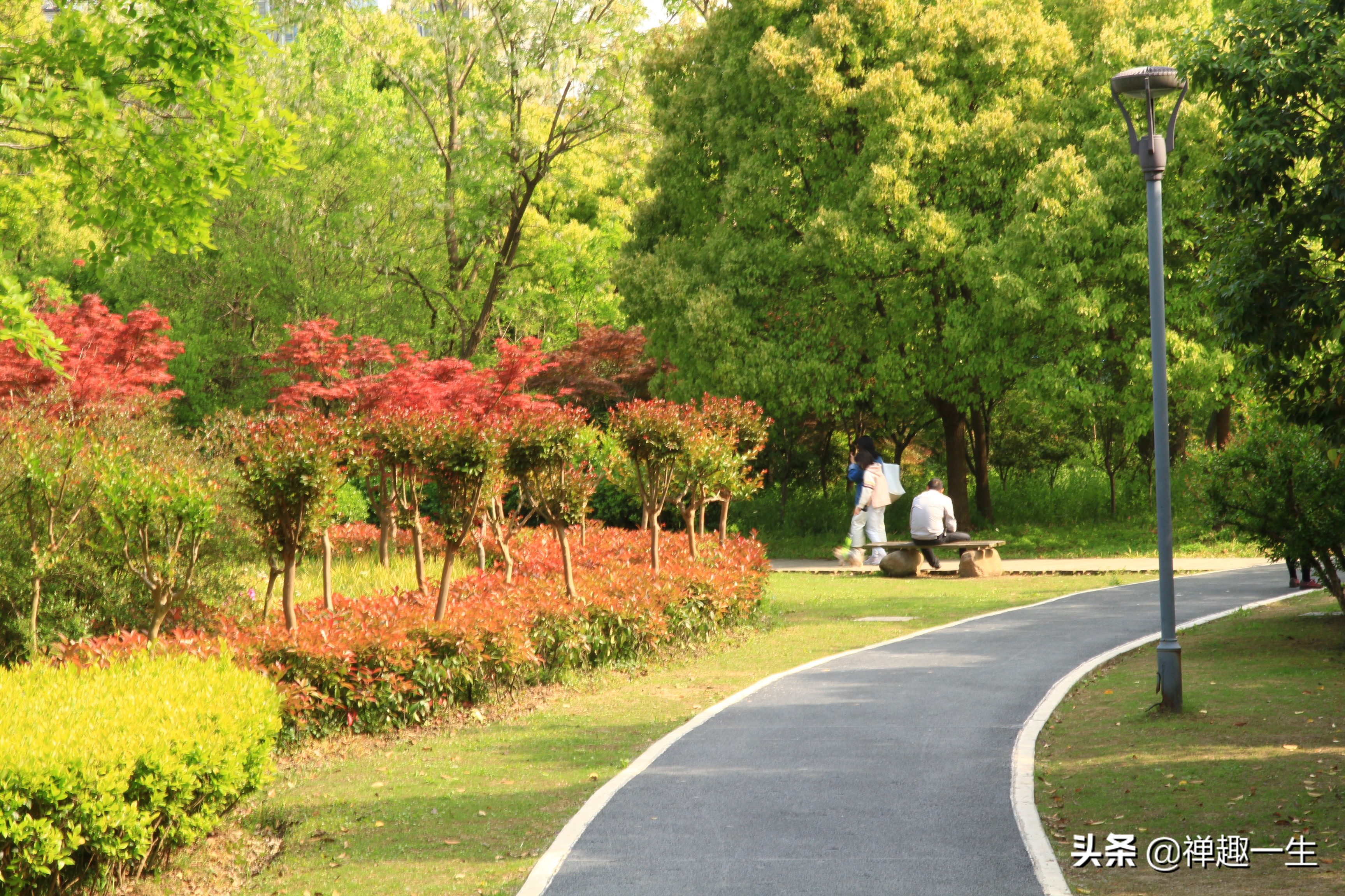 九曲江湾，十里湿地，鸟语花香，沪上最美中心城区，您去过吗？