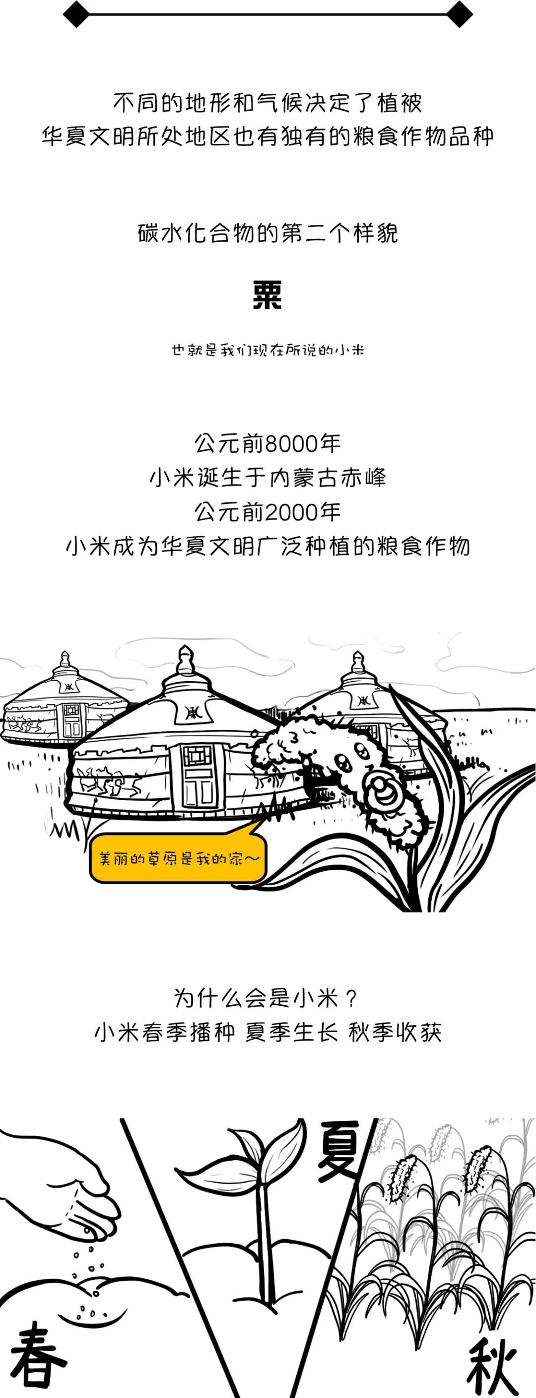 漫画食物简史好书推荐,漫画食物简史视频